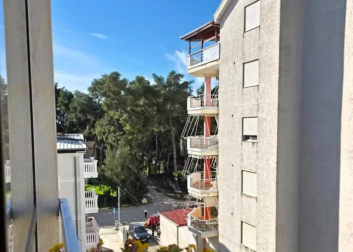 Holidays * Golem (Tirana)